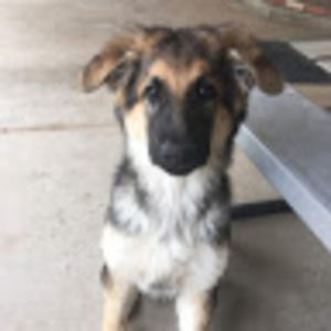 Meet your Posher, Isabella